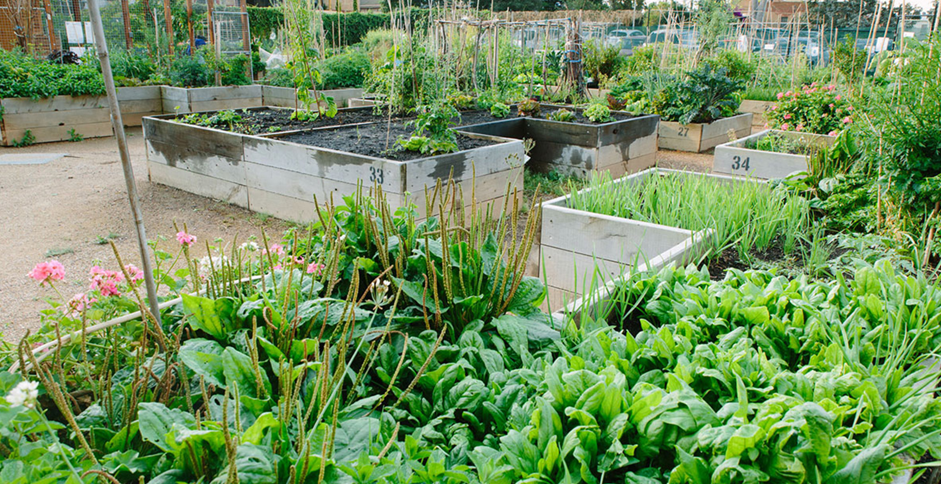 Community Garden