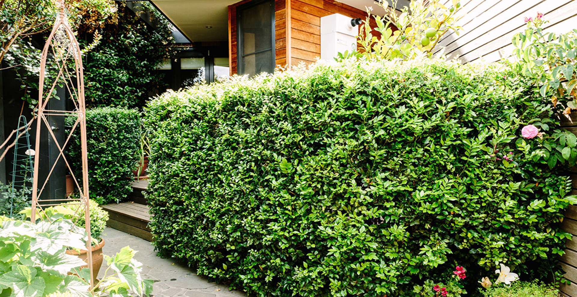 Landscaping Lighting Banner